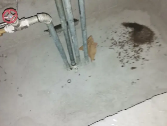 关岭卫生间测漏水价格明细