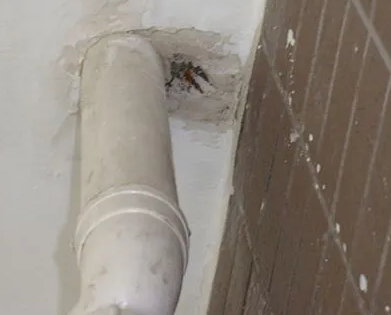 关岭漏水检测哪家好